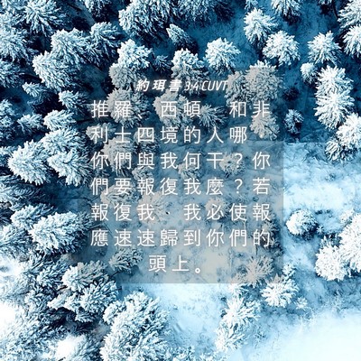 Picture 04 - 約 珥 書 3:4 CUVT - 推 羅 、 西 頓 ， 和 非 利 士 四 境 - Bible Verse Picture