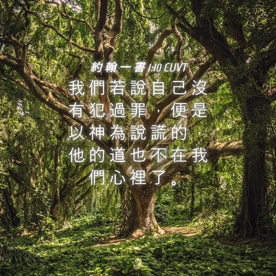 Picture 04 - 約 翰 一 書 1:10 CUVT - 我 們 若 說 自 己 沒 有 犯 過 罪 ， - Bible Verse Picture