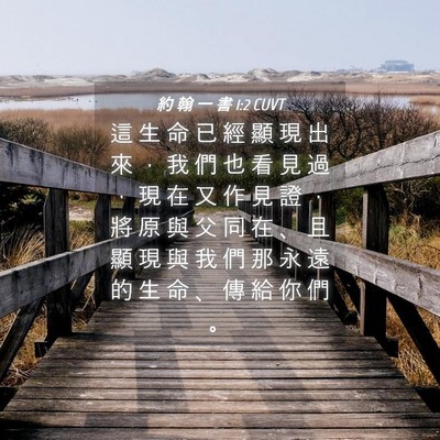 Picture 04 - 約 翰 一 書 1:2 CUVT - 這 生 命 已 經 顯 現 出 來 ， 我 們 - Bible Verse Picture