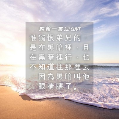 Picture 04 - 約 翰 一 書 2:11 CUVT - 惟 獨 恨 弟 兄 的 ， 是 在 黑 暗 裡 - Bible Verse Picture