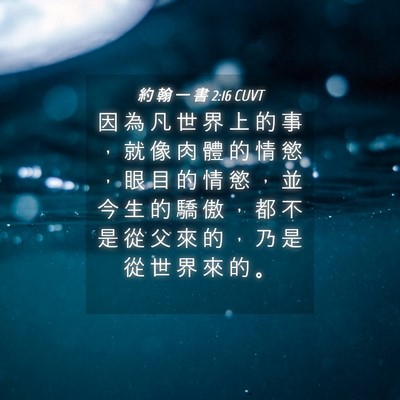 Picture 04 - 約 翰 一 書 2:16 CUVT - 因 為 凡 世 界 上 的 事 ， 就 像 肉 - Bible Verse Picture