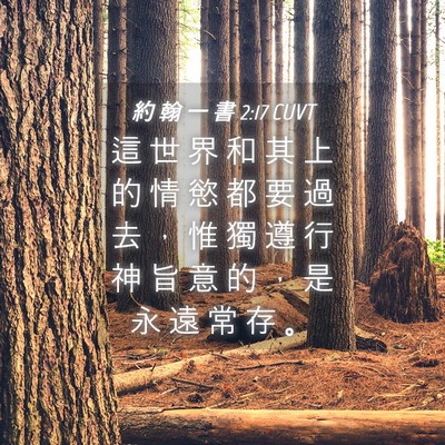 Picture 04 - 約 翰 一 書 2:17 CUVT - 這 世 界 和 其 上 的 情 慾 都 要 過 - Bible Verse Picture