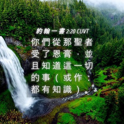 Picture 04 - 約 翰 一 書 2:20 CUVT - 你 們 從 那 聖 者 受 了 恩 膏 ， 並 - Bible Verse Picture