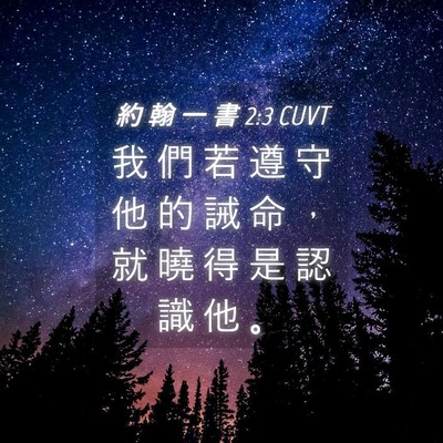 Picture 04 - 約 翰 一 書 2:3 CUVT - 我 們 若 遵 守 他 的 誡 命 ， 就 曉 - Bible Verse Picture