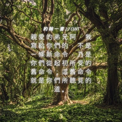 Picture 04 - 約 翰 一 書 2:7 CUVT - 親 愛 的 弟 兄 阿 ， 我 寫 給 你 們 - Bible Verse Picture