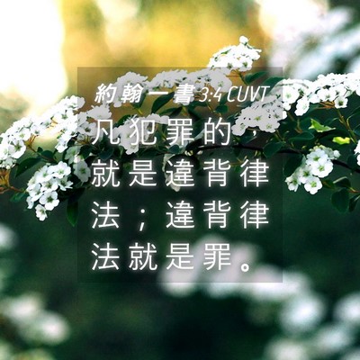 Picture 04 - 約 翰 一 書 3:4 CUVT - 凡 犯 罪 的 ， 就 是 違 背 律 法 ； - Bible Verse Picture