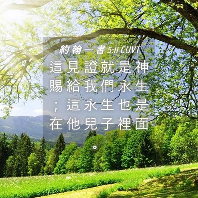 Picture 04 - 約 翰 一 書 5:11 CUVT - 這 見 證 就 是 神 賜 給 我 們 永 生 - Bible Verse Picture