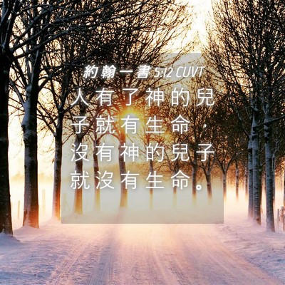 Picture 04 - 約 翰 一 書 5:12 CUVT - 人 有 了 神 的 兒 子 就 有 生 命 ， - Bible Verse Picture