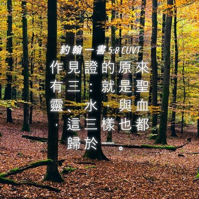 Picture 04 - 約 翰 一 書 5:8 CUVT - 作 見 證 的 原 來 有 三 ： 就 是 聖 - Bible Verse Picture