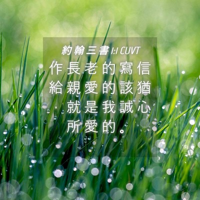 Picture 04 - 約 翰 三 書 1:1 CUVT - 作 長 老 的 寫 信 給 親 愛 的 該 猶 - Bible Verse Picture