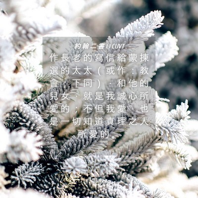 Picture 04 - 約 翰 二 書 1:1 CUVT - 作 長 老 的 寫 信 給 蒙 揀 選 的 太 - Bible Verse Picture