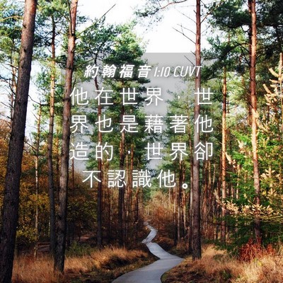 Picture 04 - 約 翰 福 音 1:10 CUVT - 他 在 世 界 ， 世 界 也 是 藉 著 他 - Bible Verse Picture