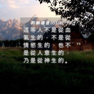 Picture 04 - 約 翰 福 音 1:13 CUVT - 這 等 人 不 是 從 血 氣 生 的 ， 不 - Bible Verse Picture