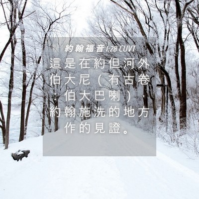 Picture 04 - 約 翰 福 音 1:28 CUVT - 這 是 在 約 但 河 外 伯 大 尼 （ 有 - Bible Verse Picture