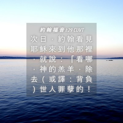 Picture 04 - 約 翰 福 音 1:29 CUVT - 次 日 ， 約 翰 看 見 耶 穌 來 到 他 - Bible Verse Picture