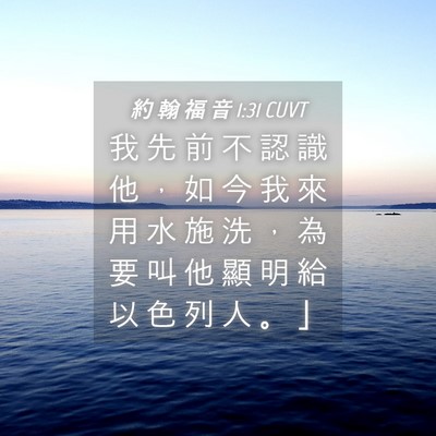 Picture 04 - 約 翰 福 音 1:31 CUVT - 我 先 前 不 認 識 他 ， 如 今 我 來 - Bible Verse Picture