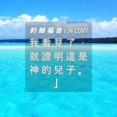 Picture 04 - 約 翰 福 音 1:34 CUVT - 我 看 見 了 ， 就 證 明 這 是 神 的 - Bible Verse Picture