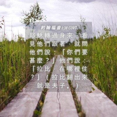 Picture 04 - 約 翰 福 音 1:38 CUVT - 耶 穌 轉 過 身 來 ， 看 見 他 們 跟 - Bible Verse Picture