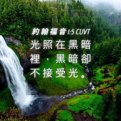 Picture 04 - 約 翰 福 音 1:5 CUVT - 光 照 在 黑 暗 裡 ， 黑 暗 卻 不 接 - Bible Verse Picture