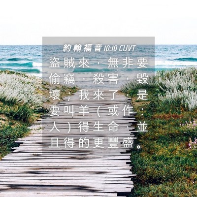 Picture 04 - 約 翰 福 音 10:10 CUVT - 盜 賊 來 ， 無 非 要 偷 竊 ， 殺 害 - Bible Verse Picture