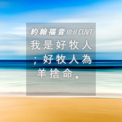 Picture 04 - 約 翰 福 音 10:11 CUVT - 我 是 好 牧 人 ； 好 牧 人 為 羊 捨 - Bible Verse Picture