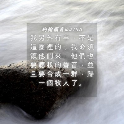 Picture 04 - 約 翰 福 音 10:16 CUVT - 我 另 外 有 羊 ， 不 是 這 圈 裡 的 - Bible Verse Picture