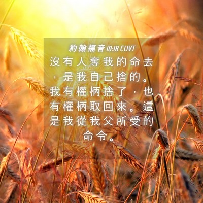 Picture 04 - 約 翰 福 音 10:18 CUVT - 沒 有 人 奪 我 的 命 去 ， 是 我 自 - Bible Verse Picture