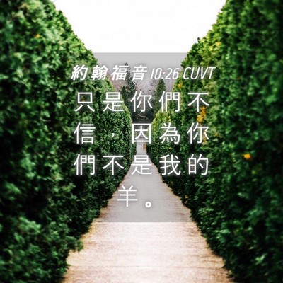 Picture 04 - 約 翰 福 音 10:26 CUVT - 只 是 你 們 不 信 ， 因 為 你 們 不 - Bible Verse Picture