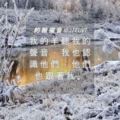 Picture 04 - 約 翰 福 音 10:27 CUVT - 我 的 羊 聽 我 的 聲 音 ， 我 也 認 - Bible Verse Picture
