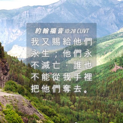 Picture 04 - 約 翰 福 音 10:28 CUVT - 我 又 賜 給 他 們 永 生 ； 他 們 永 - Bible Verse Picture