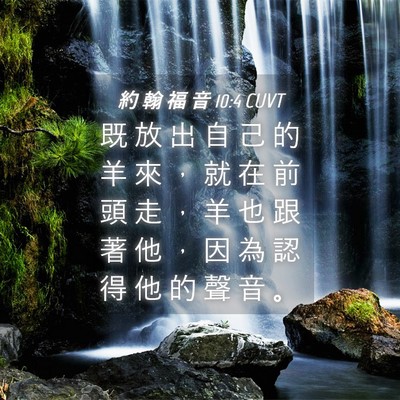 Picture 04 - 約 翰 福 音 10:4 CUVT - 既 放 出 自 己 的 羊 來 ， 就 在 前 - Bible Verse Picture