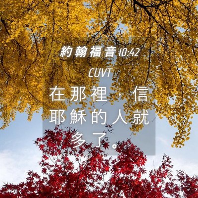 Picture 04 - 約 翰 福 音 10:42 CUVT - 在 那 裡 ， 信 耶 穌 的 人 就 多 了 - Bible Verse Picture