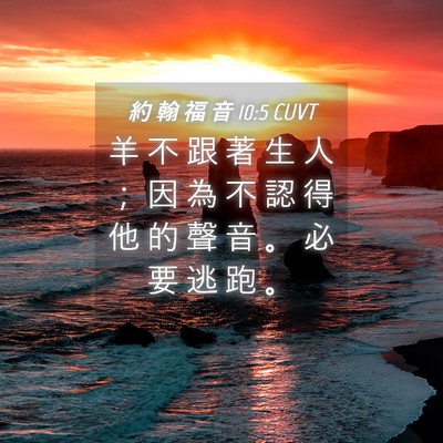Picture 04 - 約 翰 福 音 10:5 CUVT - 羊 不 跟 著 生 人 ； 因 為 不 認 得 - Bible Verse Picture