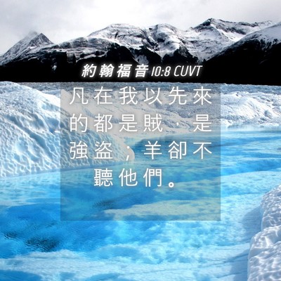 Picture 04 - 約 翰 福 音 10:8 CUVT - 凡 在 我 以 先 來 的 都 是 賊 ， 是 - Bible Verse Picture