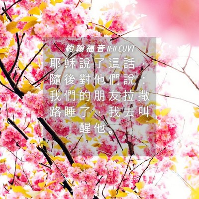 Picture 04 - 約 翰 福 音 11:11 CUVT - 耶 穌 說 了 這 話 ， 隨 後 對 他 們 - Bible Verse Picture