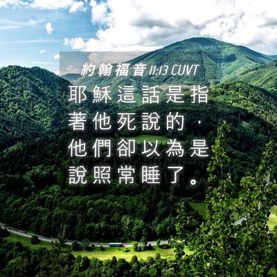 Picture 04 - 約 翰 福 音 11:13 CUVT - 耶 穌 這 話 是 指 著 他 死 說 的 ， - Bible Verse Picture
