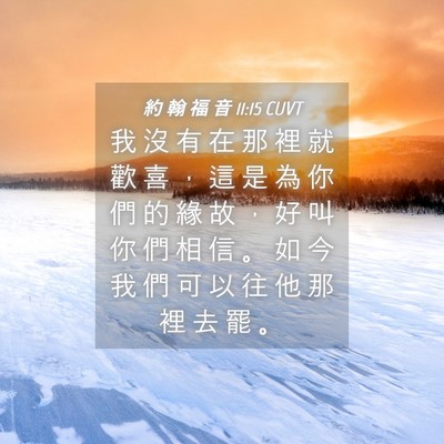 Picture 04 - 約 翰 福 音 11:15 CUVT - 我 沒 有 在 那 裡 就 歡 喜 ， 這 是 - Bible Verse Picture