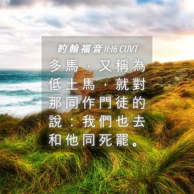 Picture 04 - 約 翰 福 音 11:16 CUVT - 多 馬 ， 又 稱 為 低 土 馬 ， 就 對 - Bible Verse Picture
