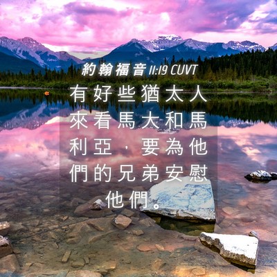 Picture 04 - 約 翰 福 音 11:19 CUVT - 有 好 些 猶 太 人 來 看 馬 大 和 馬 - Bible Verse Picture