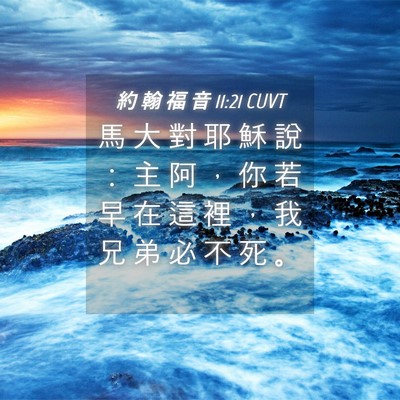 Picture 04 - 約 翰 福 音 11:21 CUVT - 馬 大 對 耶 穌 說 ： 主 阿 ， 你 若 - Bible Verse Picture
