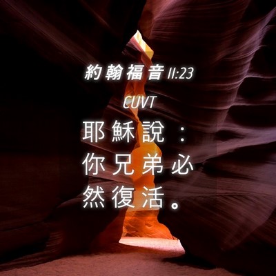 Picture 04 - 約 翰 福 音 11:23 CUVT - 耶 穌 說 ： 你 兄 弟 必 然 復 活 - Bible Verse Picture