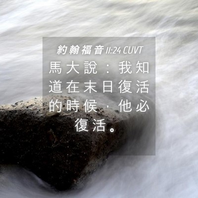 Picture 04 - 約 翰 福 音 11:24 CUVT - 馬 大 說 ： 我 知 道 在 末 日 復 活 - Bible Verse Picture