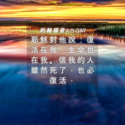 Picture 04 - 約 翰 福 音 11:25 CUVT - 耶 穌 對 他 說 ： 復 活 在 我 ， 生 - Bible Verse Picture