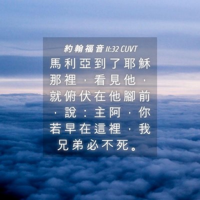 Picture 04 - 約 翰 福 音 11:32 CUVT - 馬 利 亞 到 了 耶 穌 那 裡 ， 看 見 - Bible Verse Picture