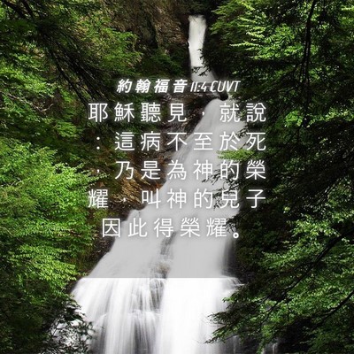 Picture 04 - 約 翰 福 音 11:4 CUVT - 耶 穌 聽 見 ， 就 說 ： 這 病 不 至 - Bible Verse Picture