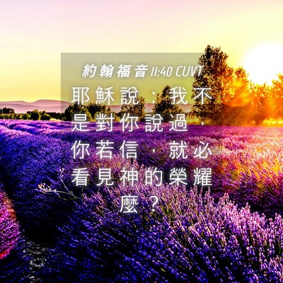 Picture 04 - 約 翰 福 音 11:40 CUVT - 耶 穌 說 ： 我 不 是 對 你 說 過 ， - Bible Verse Picture