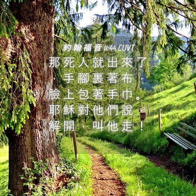 Picture 04 - 約 翰 福 音 11:44 CUVT - 那 死 人 就 出 來 了 ， 手 腳 裹 著 - Bible Verse Picture
