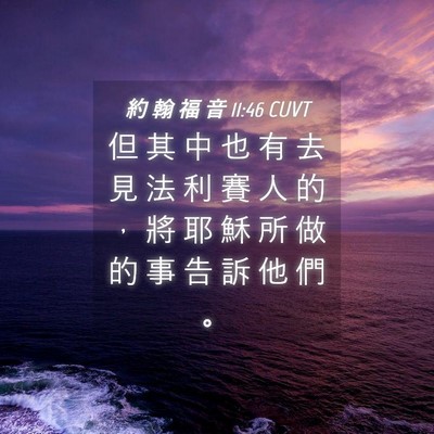 Picture 04 - 約 翰 福 音 11:46 CUVT - 但 其 中 也 有 去 見 法 利 賽 人 的 - Bible Verse Picture