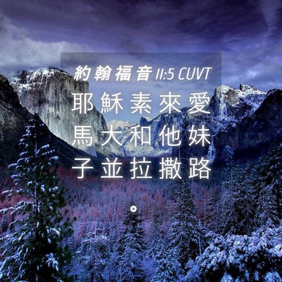 Picture 04 - 約 翰 福 音 11:5 CUVT - 耶 穌 素 來 愛 馬 大 和 他 妹 子 並 - Bible Verse Picture