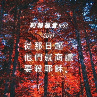 Picture 04 - 約 翰 福 音 11:53 CUVT - 從 那 日 起 ， 他 們 就 商 議 要 殺 - Bible Verse Picture